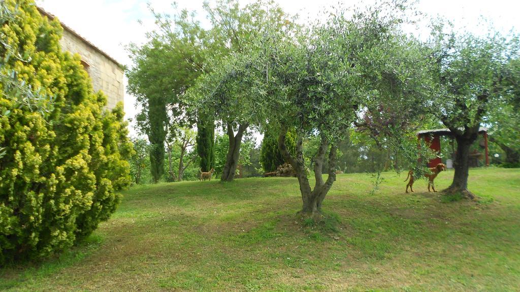 San Martin del Colle Holiday Home Casciana Terme Camera foto