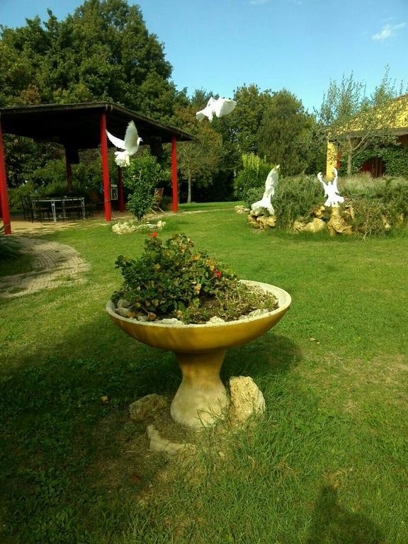 San Martin del Colle Holiday Home Casciana Terme Esterno foto